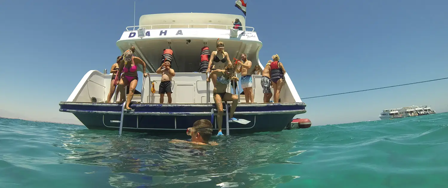 Dolphin House Hurghada