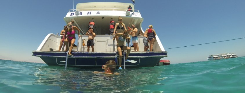 Dolphin House Hurghada